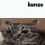 Avatar LusiX
