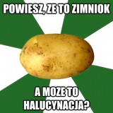 Avatar Lotysz_z_Zimniokiem