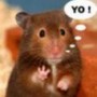 Avatar postal850