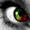 Avatar FlashEye