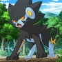 Avatar MemyLubieMemy