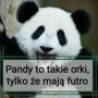 Avatar Madra_Panda