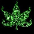 Avatar szamanica44