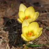 Avatar ania0761