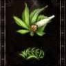 Avatar grzech111