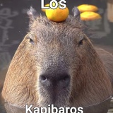 Avatar kapibara4387