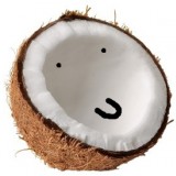 Avatar kokos0317