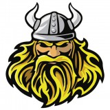 Avatar Vikings
