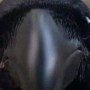 Avatar slodkiplacuszek_12345