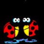 Avatar Biedronkaaa