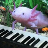 Avatar Axolotl_3