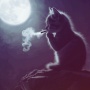 Avatar WolfiaPL