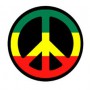 Avatar p_a_w_e_l