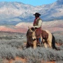 Avatar PocketCowboy