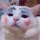 Avatar Lemme_die
