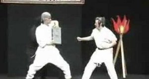 Mistrz karate