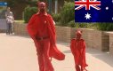 Denerwujący diabeł w Australii