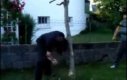 Rosjanin ścina drzewo