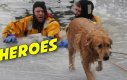 Strażacy ratują psa z zamarzniętej rzeki