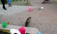 W Sowieckiej Rosji to kot goni psa!