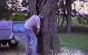Idealne ścięcie drzewa