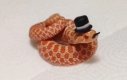 Wąż z wąsami i kapeluszem - Like a Sir