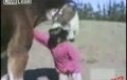 Mściwy koń gryzie dziewczynkę