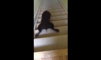 Nietypowy sposób schodzenia po schodach