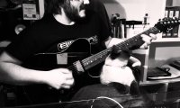 Gitarzysta kontra kot