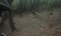 Przejażdżka motorem po lesie