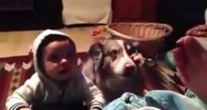 Pies szybciej od dziecka nauczył się mówić "mama"