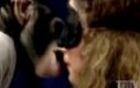 Ukryta kamera - pocałunek szympansa