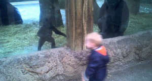 Dziecko i mały goryl