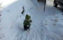 Szympans w stroju dziecka bawi się na śniegu