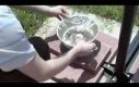 Słoneczny filtr wody - Instruktaż