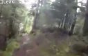 Spotkanie z niedźwiedziem podczas biegu po lesie