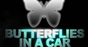 Motyle w samochodzie
