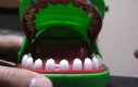 Krokodyl u dentysty - wersja hardcorowa