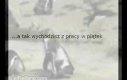 Do pracy rodacy