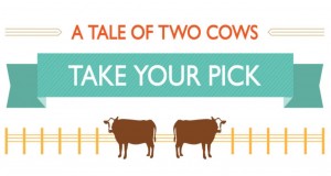 Opowieść o dwóch krowach