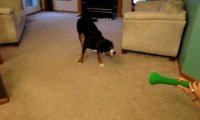 Pies vs. Wuwuzela