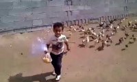 Chłopiec i stado kurczaków
