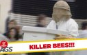 Ukryta kamera - pszczelarz