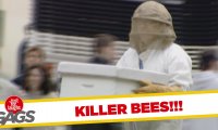 Ukryta kamera - pszczelarz