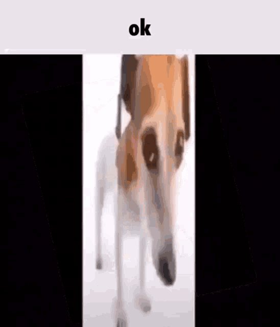 komentarz obrazkowy