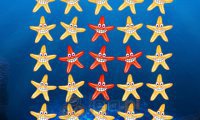 Flip Star