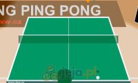 Ping Pong 3D