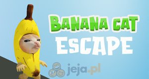 Bananowy kotek ucieka