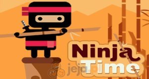 Ninja i mosty