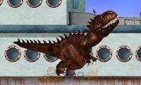 Miami Rex